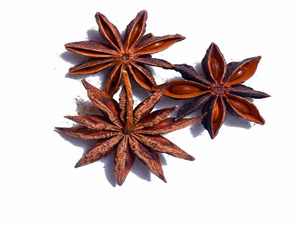 star Anise Flower Anis