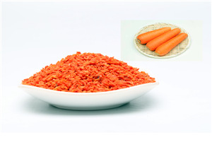 Air Dried Carrot